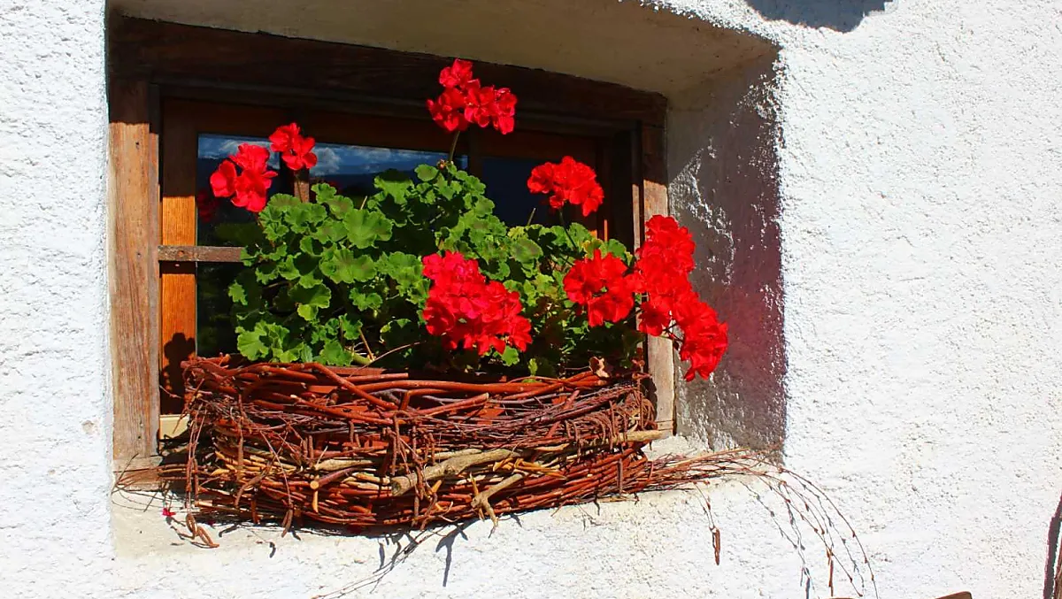 Dove sbocciano i fiori, il mondo sorride