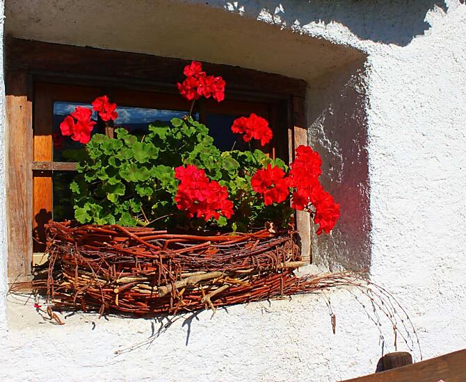 Dove sbocciano i fiori, il mondo sorride