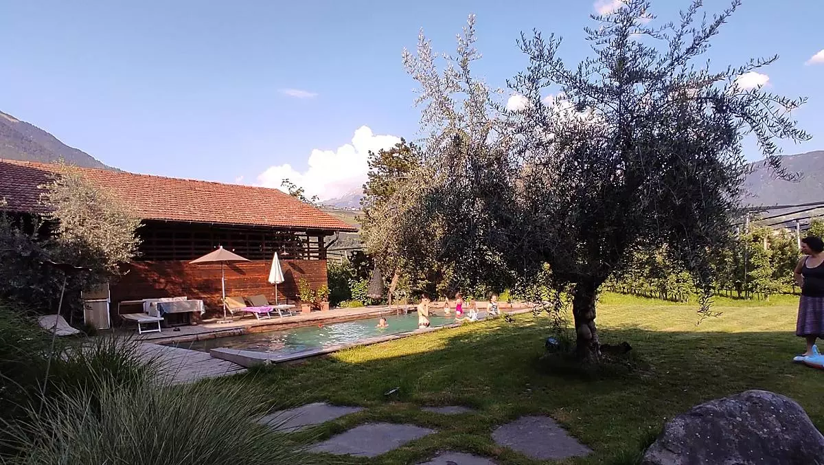Giardino con piscina: divertimento assicurato per grandi e piccini