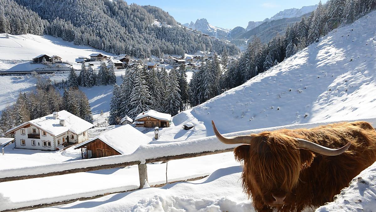 Idilliaco paesaggio invernale con vista su Cir, Dantercepies, Passo Gardena e massiccio del Sella.