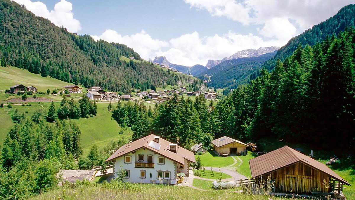 Il nostro prato fiorito con vista su Pizes de Cir, Dantercepies, Passo Gardena e massiccio del Sella.