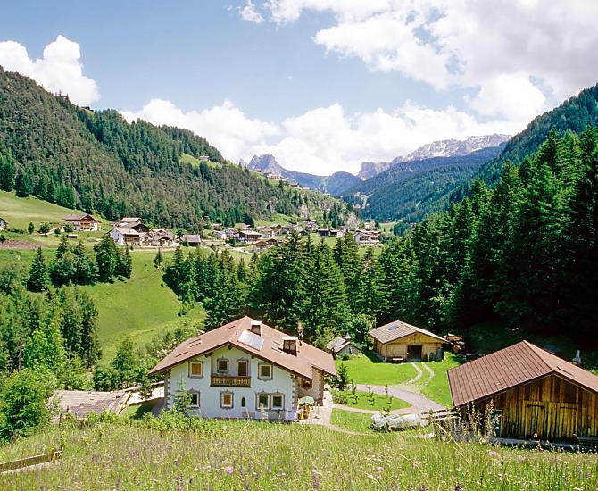 Il nostro prato fiorito con vista su Pizes de Cir, Dantercepies, Passo Gardena e massiccio del Sella.