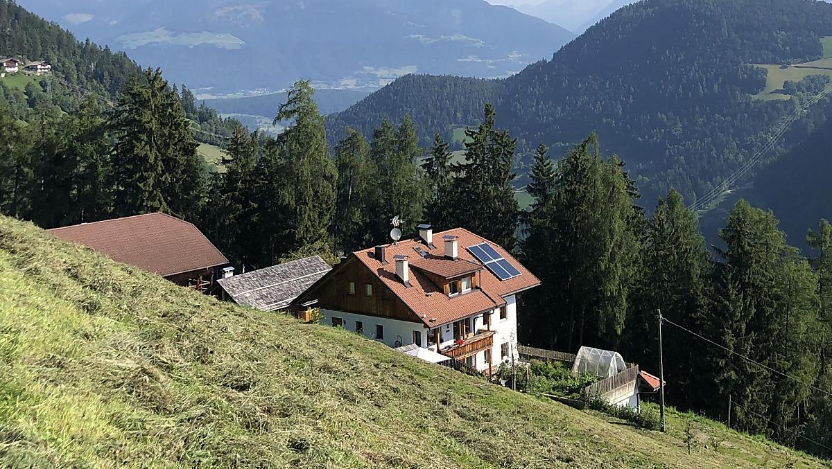 Ringgelinhof - Bildergalerie Photo