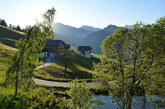 Guardatevi intorno: prati verdi al sole, giganti bianchi all'orizzonte. Siete circondati dalla natura, in tutto il suo splendore.