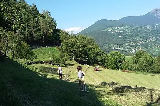 Giovani e anziani aiutano a raccogliere il fieno