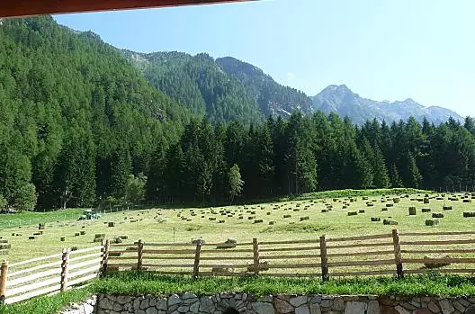La raccolta del fieno