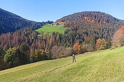 Patrick durante la raccolta del fieno