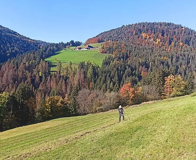Patrick durante la raccolta del fieno