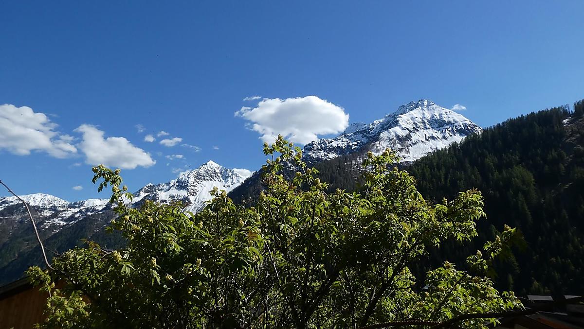 Vista sui monti circostanti, il Picco del Passo e la cima Reisnock.
