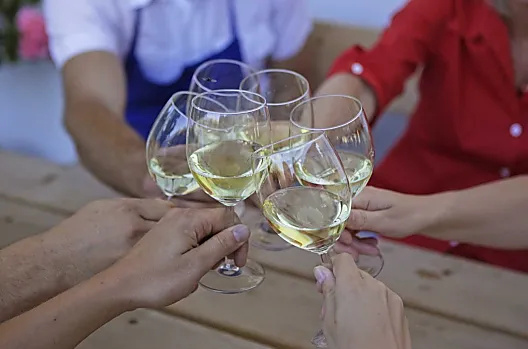 Il Griesserhof è noto per i suoi ottimi vini bianchi