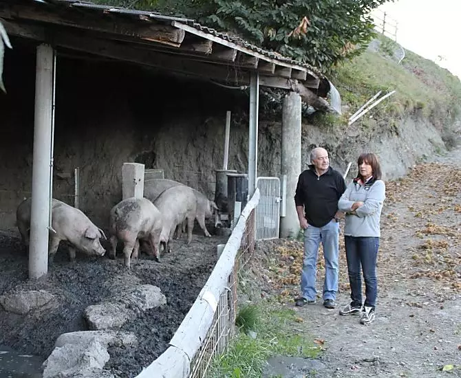 Oberpartegger - Bildergalerie Photo