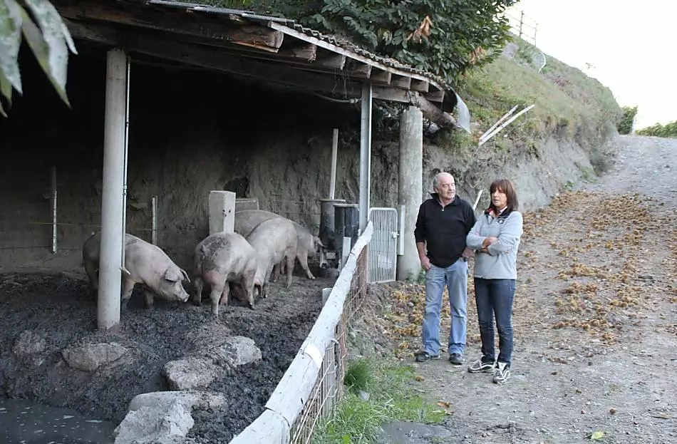Oberpartegger - Bildergalerie Photo