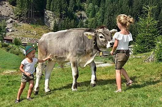 Rabensteinerhof - Liste Photo