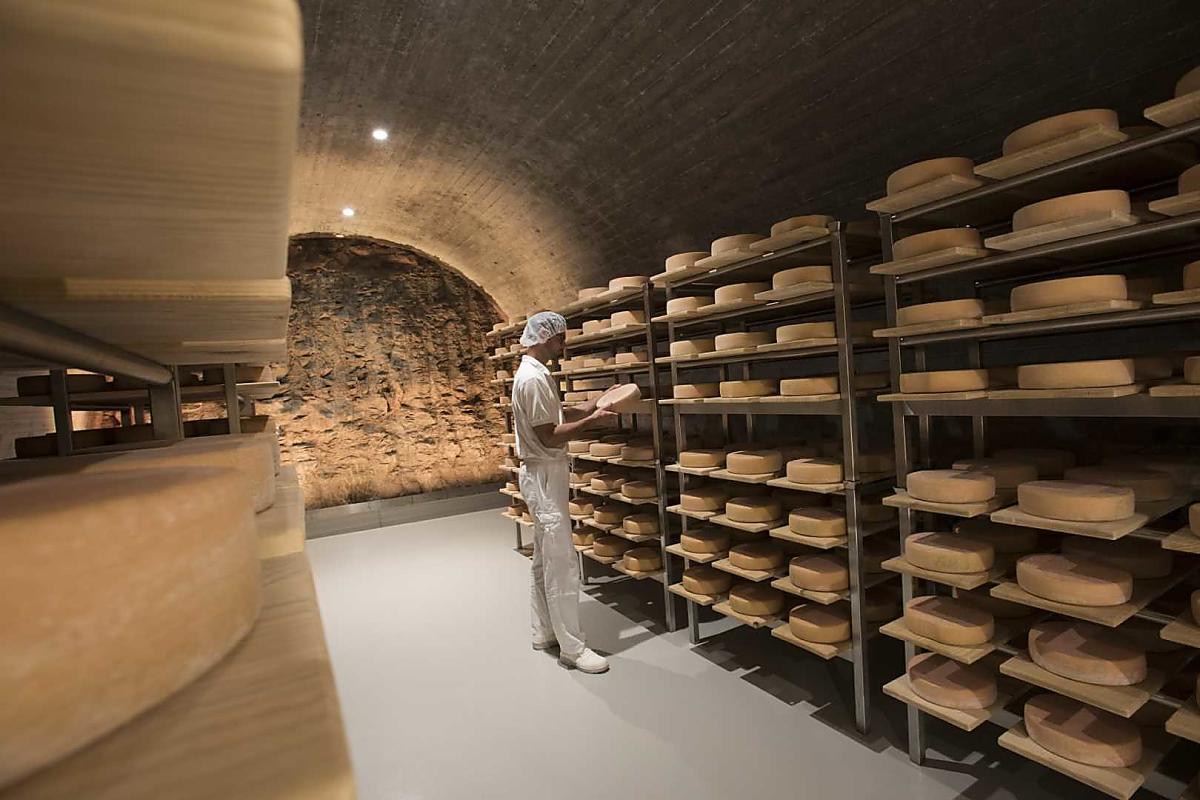 Bis zu 80 Mal wird jeder Käse in die Hand genommen