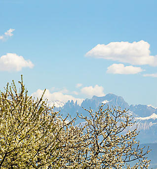 Wetter in Südtirol