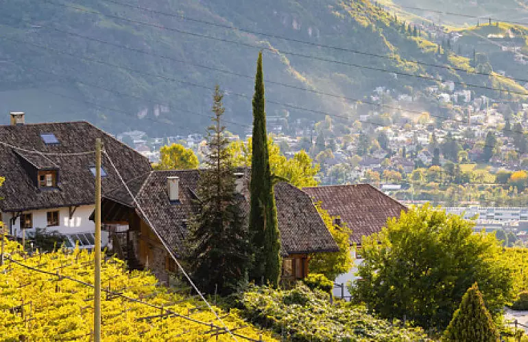 La scuola di cucina al maso in Alto Adige La scuola di cucina al maso in Alto Adige