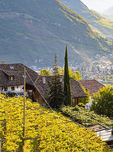 La scuola di cucina al maso in Alto Adige