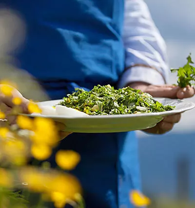 La natura dell'Alto Adige in cucina