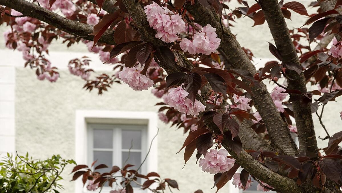 Puenland Hof - Bildergalerie Photo