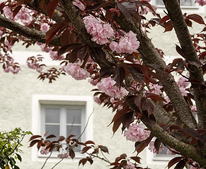 Puenland Hof - Bildergalerie Photo
