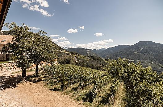 I nostri Pinot Nero e Pinot Bianco
