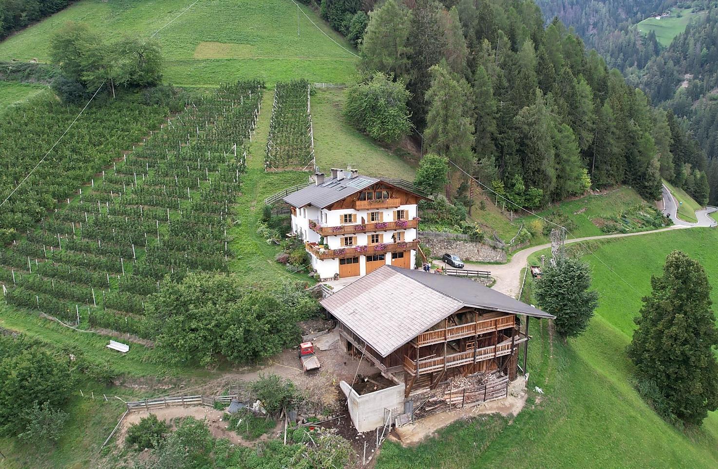 Il nostro maso di montagna, in mezzo al verde! Nella foto anche il nostro meleto.