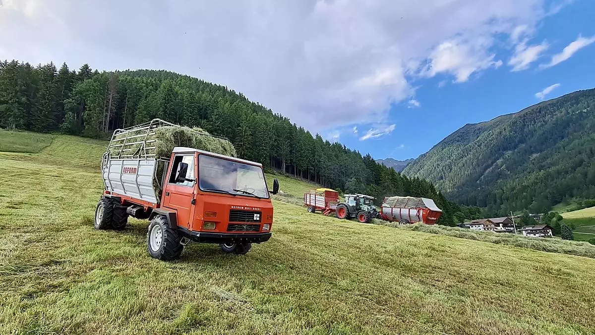 Alpegger - Bildergalerie Photo