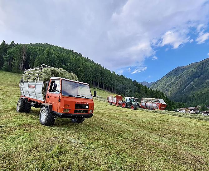 Alpegger - Bildergalerie Photo
