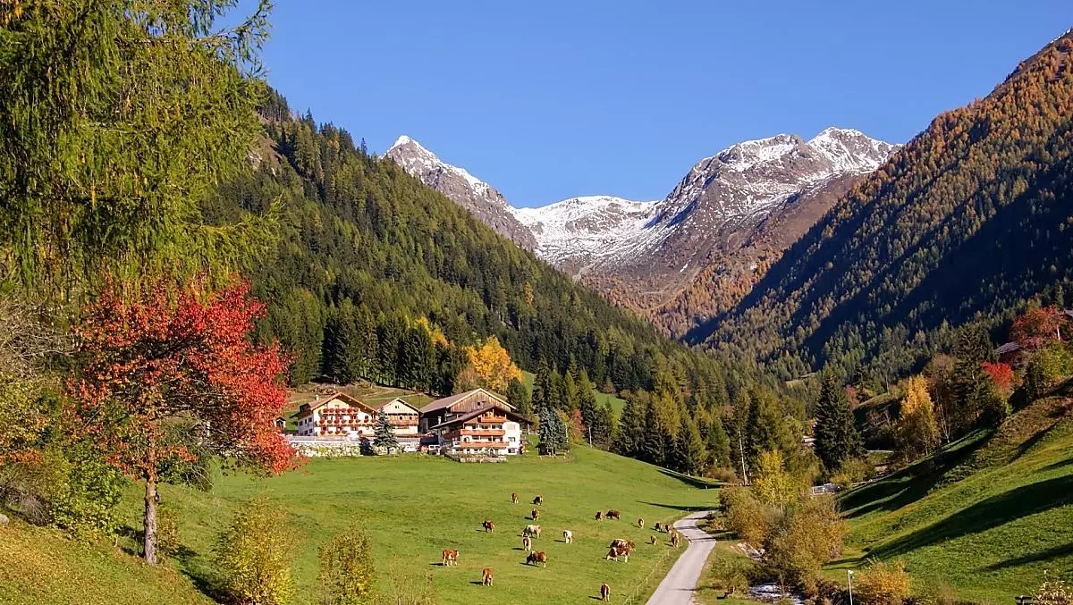 Alpegger - Bildergalerie Photo