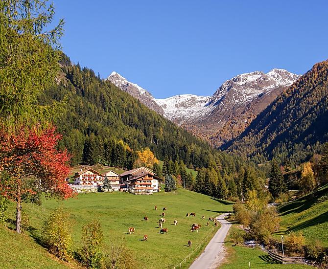 Alpegger - Bildergalerie Photo
