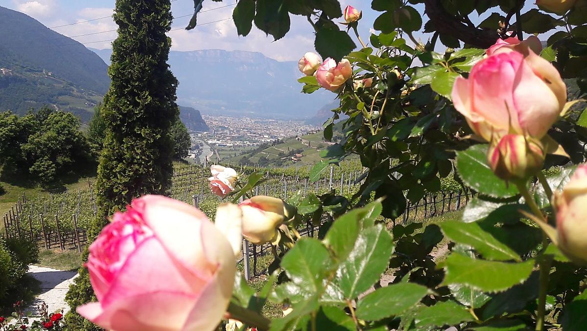 Vista su Bolzano