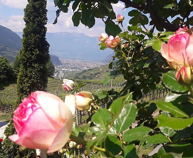 Vista su Bolzano