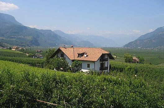 Il nostro maso si trova in posizione unica, circondato da frutteti e vigneti.