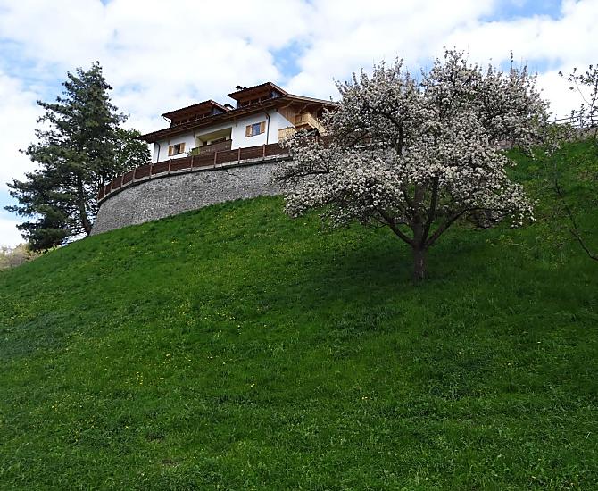Putzerhof - Bildergalerie Photo