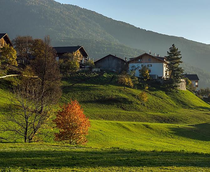 Putzerhof - Bildergalerie Photo
