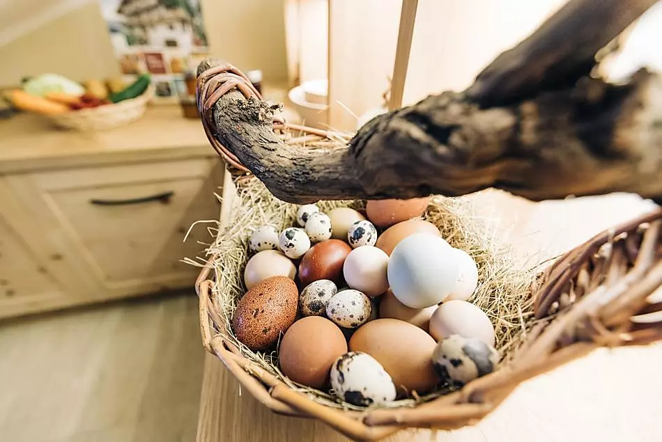 Uova di gallina e uova di quaglia