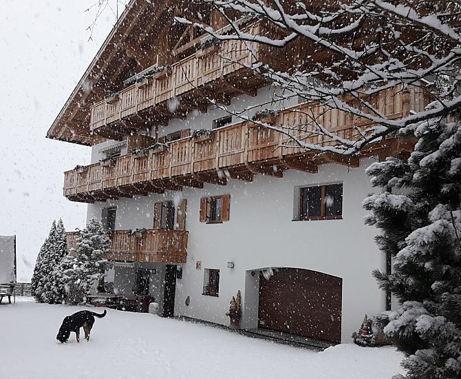 Putzerhof - Bildergalerie Photo