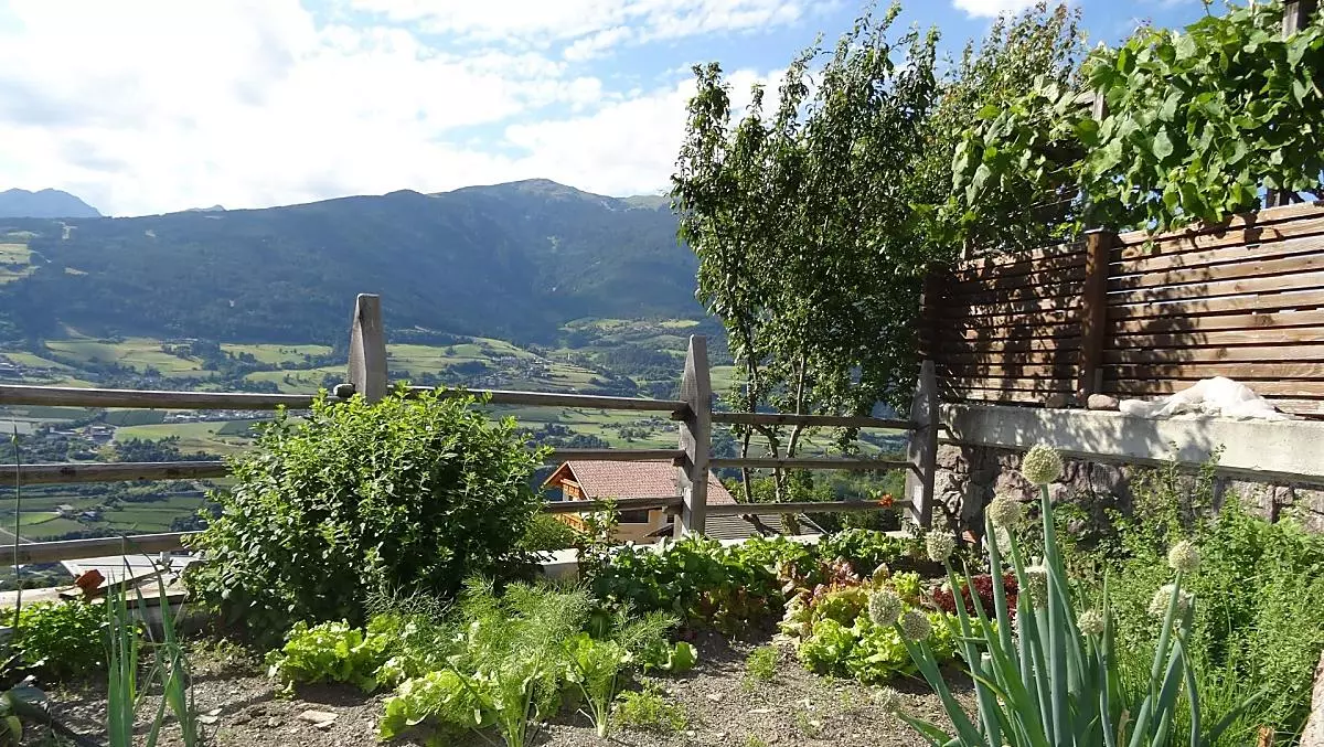 Giardino delle erbe aromatiche