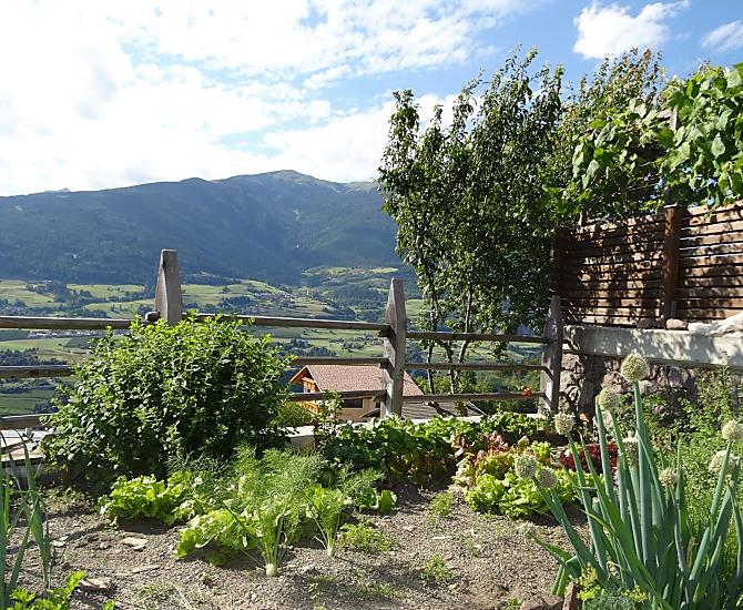 Giardino delle erbe aromatiche