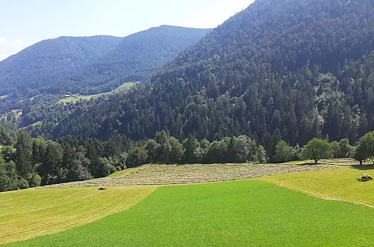 La fienagione