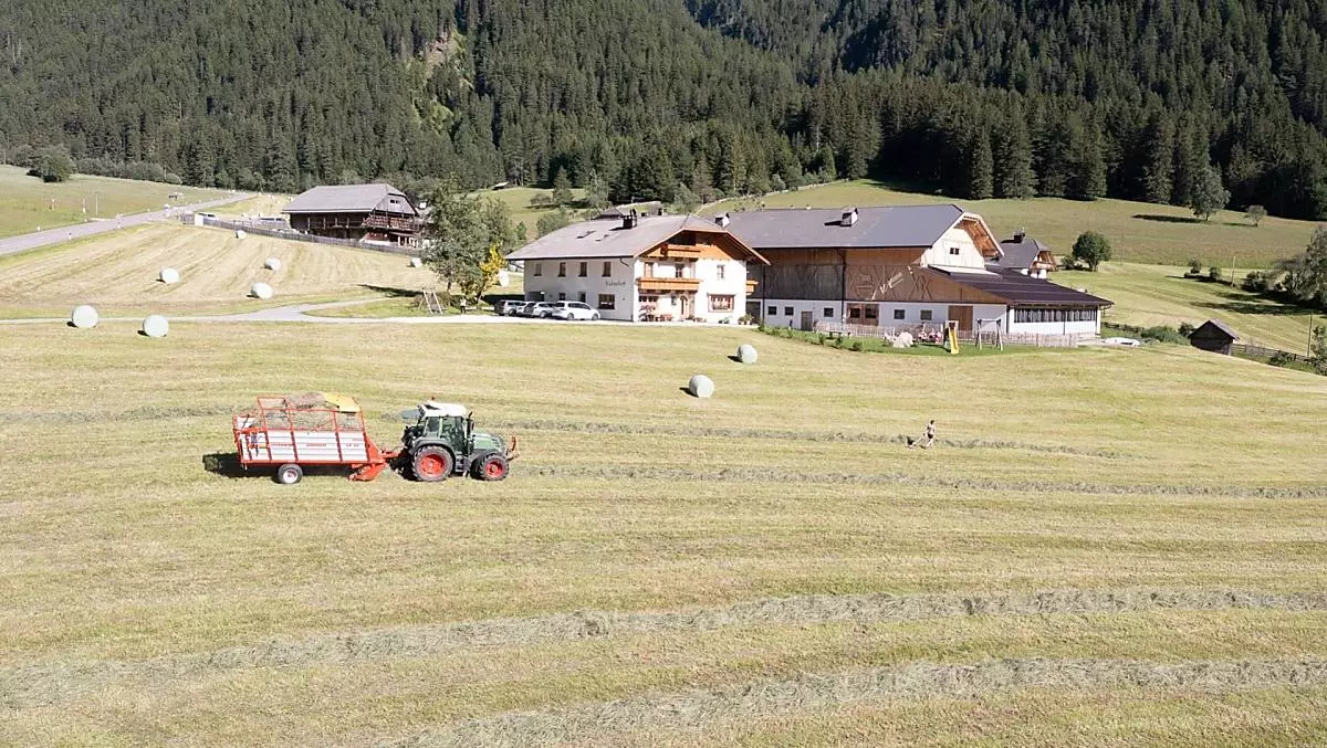 In estate si raccoglie il fieno