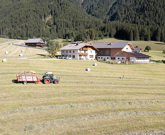 In estate si raccoglie il fieno