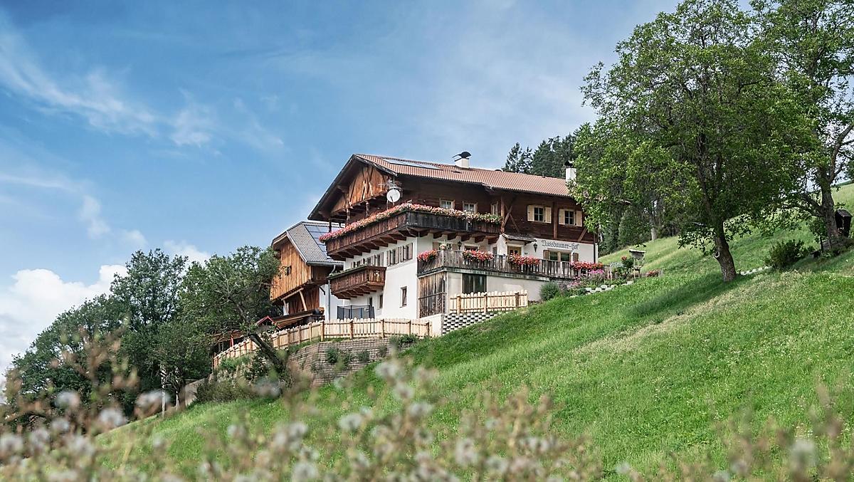 Nussbaumerhof - Bildergalerie Photo