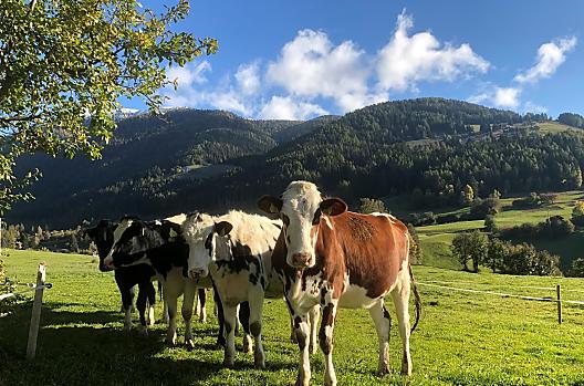 Leimgruberhof - Liste Photo