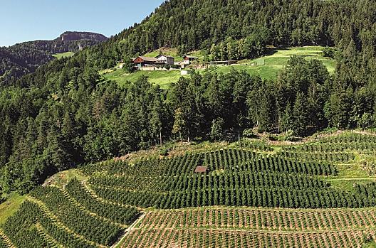 Leitnerhof - Liste Photo
