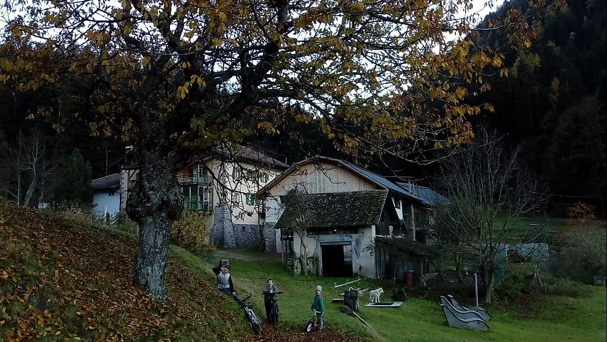 Fölserhof - Bildergalerie Photo