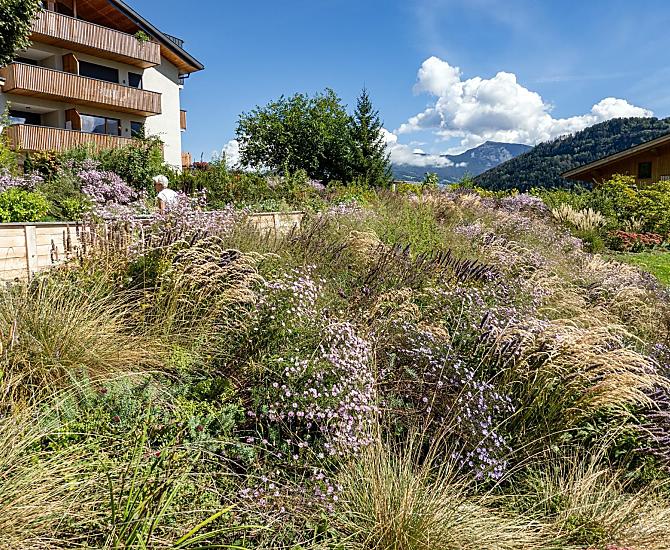 Oberfallerhof - Bildergalerie Photo