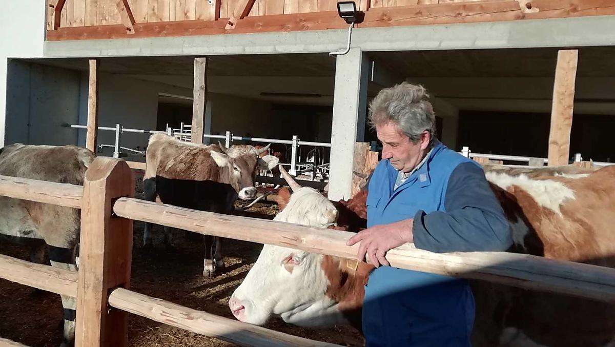 Nonno Sepp nella pista di fronte alla stalla