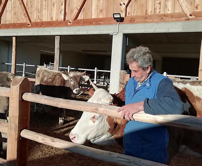 Nonno Sepp nella pista di fronte alla stalla