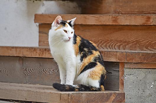 Pliegerhof - Liste Photo